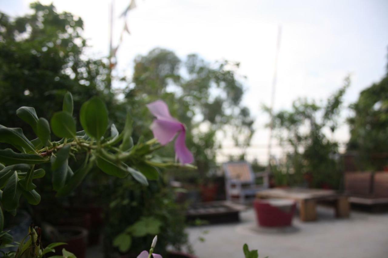 Bed & Chai Guesthouse 新德里 外观 照片